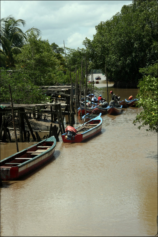 Paramaribo1