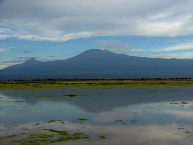 Kilimanjaro