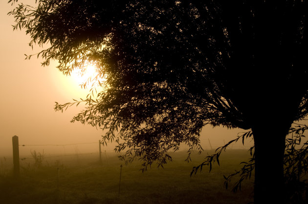 Het vlaamse landschap vroeg in de morgen