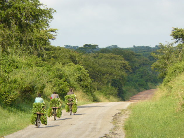 Fietsen in Uganda