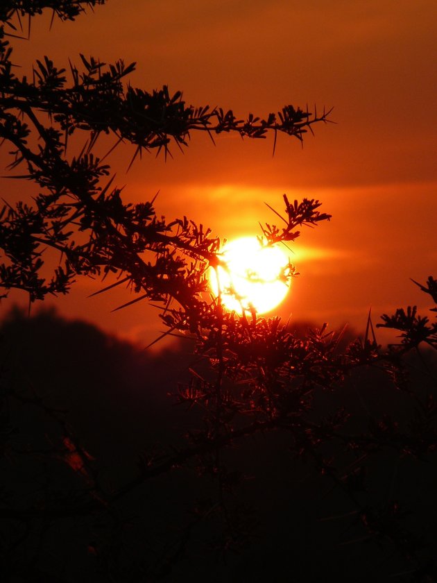 Zonsopgang in Lake Mburo NP