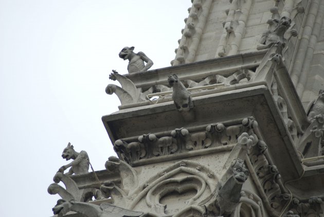 Notre Dame Detail