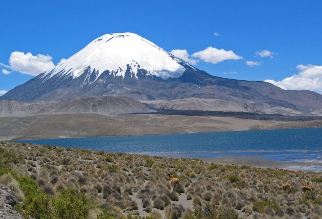 Parinacota