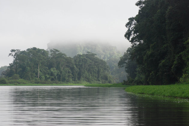 Tortuguero