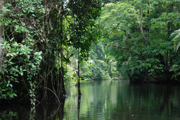 Tortuguero