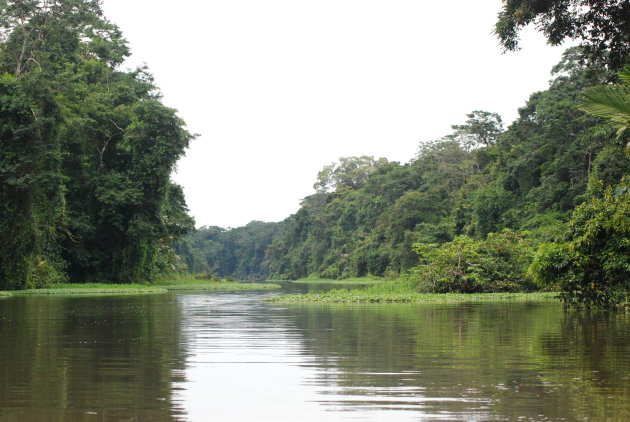 Tortuguero