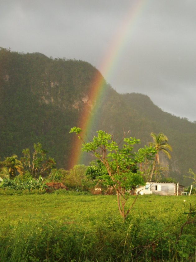 Vinales