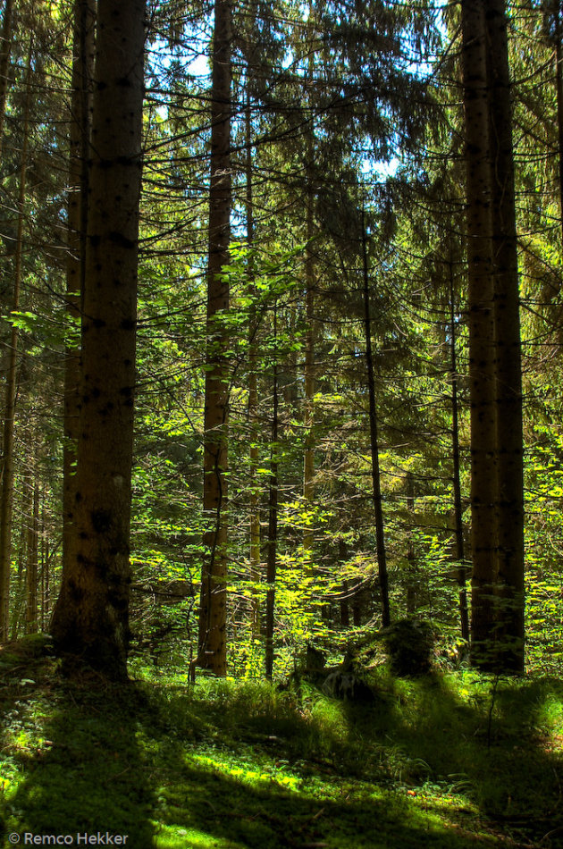 Aan de rand van Lake Bohinj