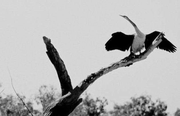 Kakadu NP