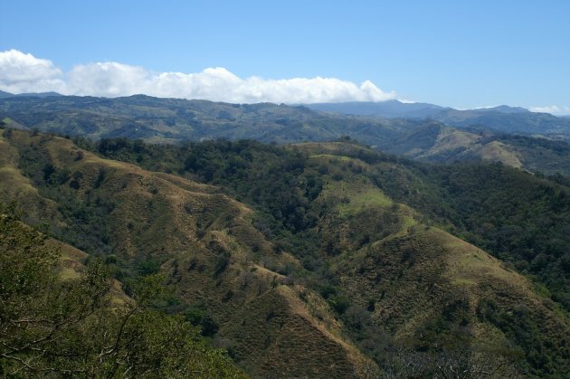 Monteverde