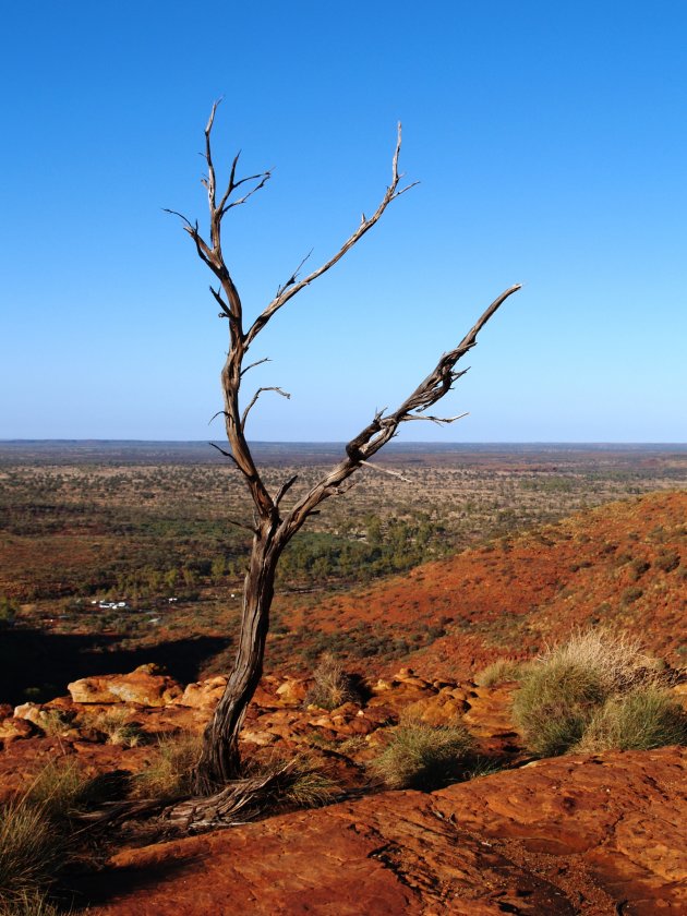 Kings Canyon