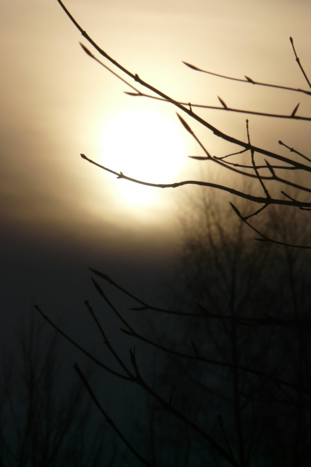 zonsopgang ardennen