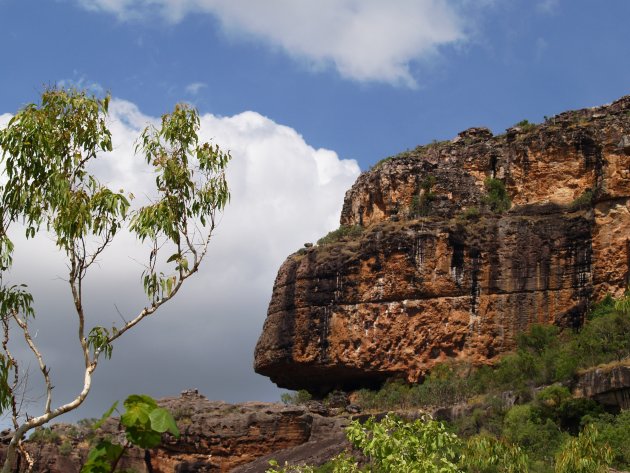 Natuur van Kakadu