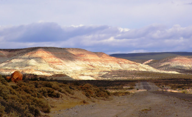 pampa landschap