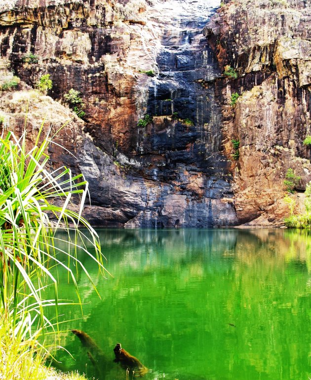 Kakadu np