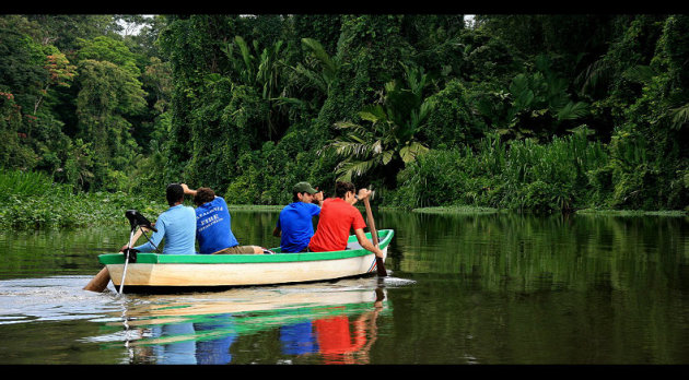 Boottocht Tortuguero