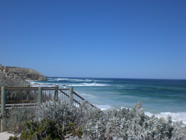 Seal Bay (Kangaroo Island)