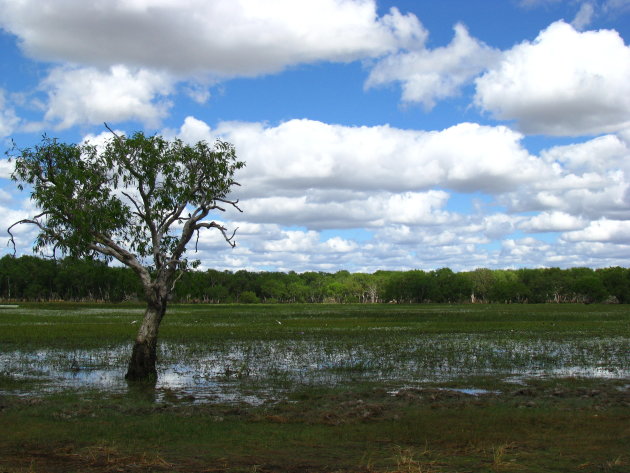 Kakadu NP