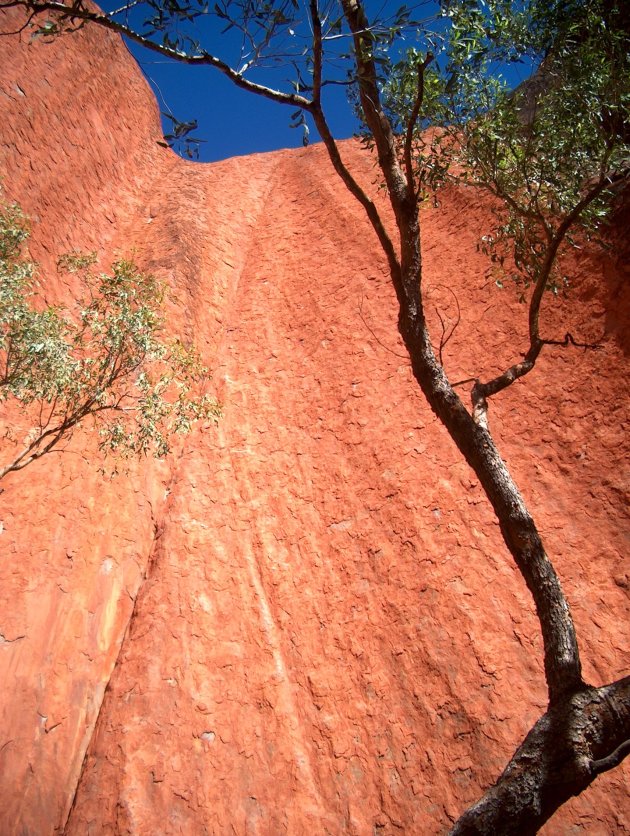 Uluru detail