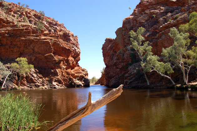 Waterholes in the Red Centre