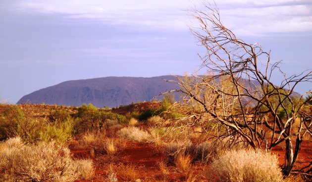 Ayers rock in dekking