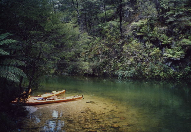 Abel Tasman