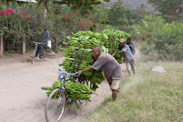 Bananen Fiets