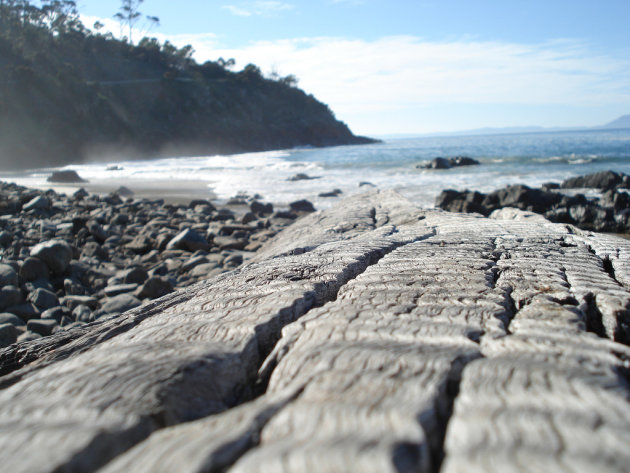 Strand op Tasmanië