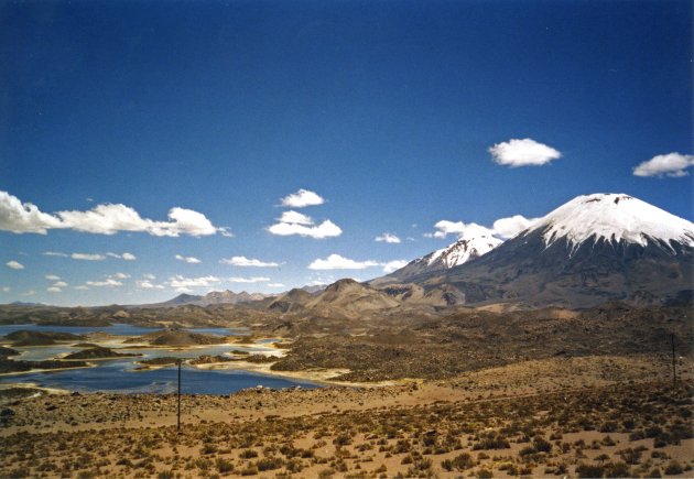 Pomerape en Parinacota