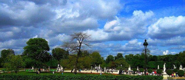 Le Jardin des Tuileries