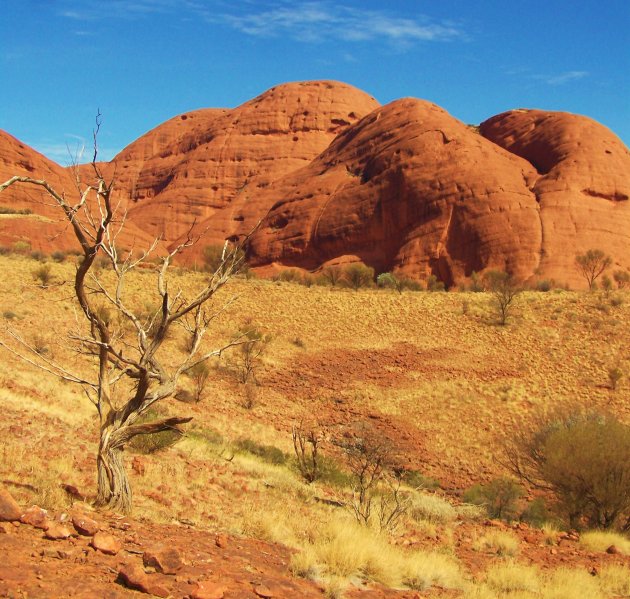 Valley of Winds