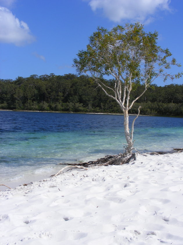 Lake McKenzie