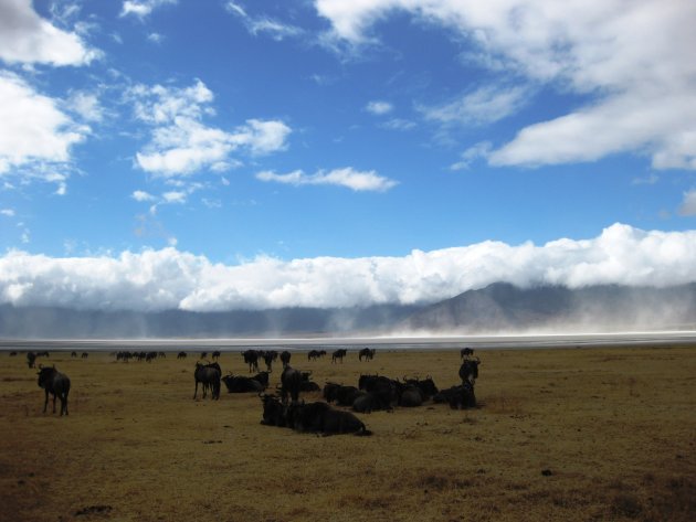 Ngorongoro Crater