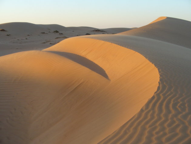 Duinen in Wahiba Sands