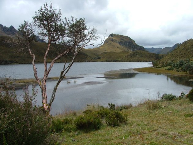 Las Cajas