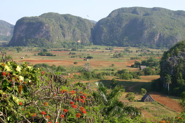 vinales