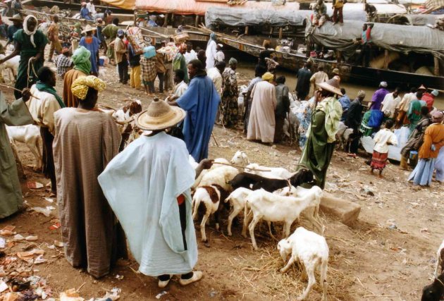 de veemarkt in Mopti