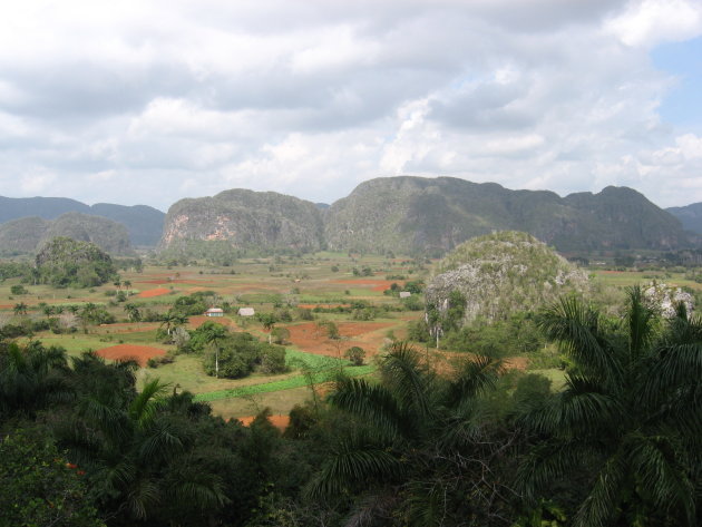 Vinales vallei