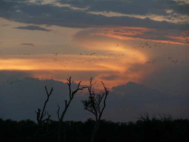 Sunset Kakadu