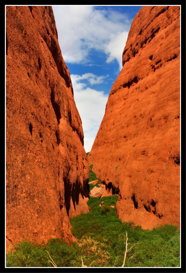 Walpa Gorge