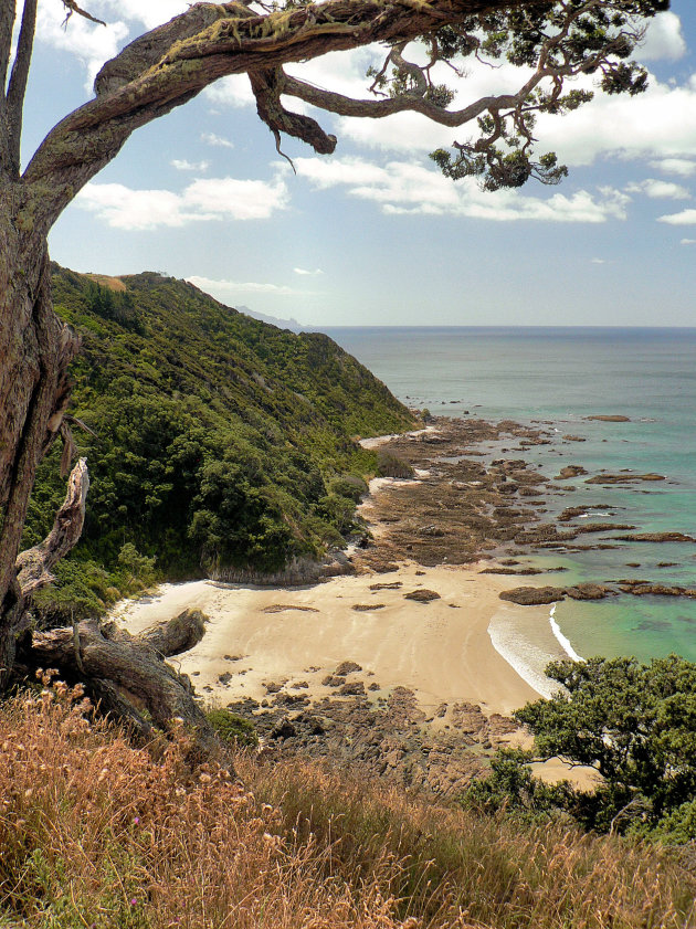 Doorkijkje vanaf Mangawhai Cliffs