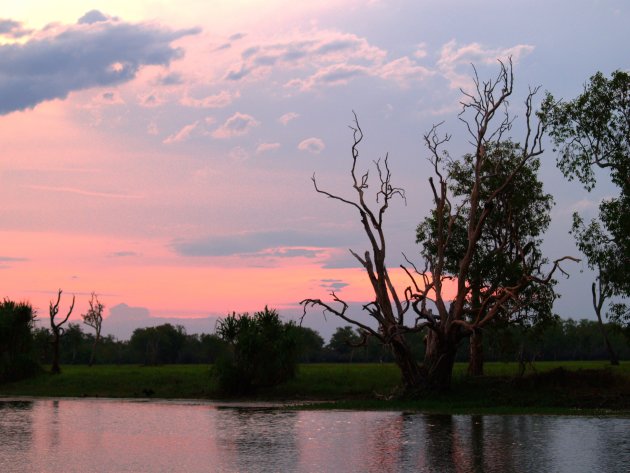 Kakadu zon