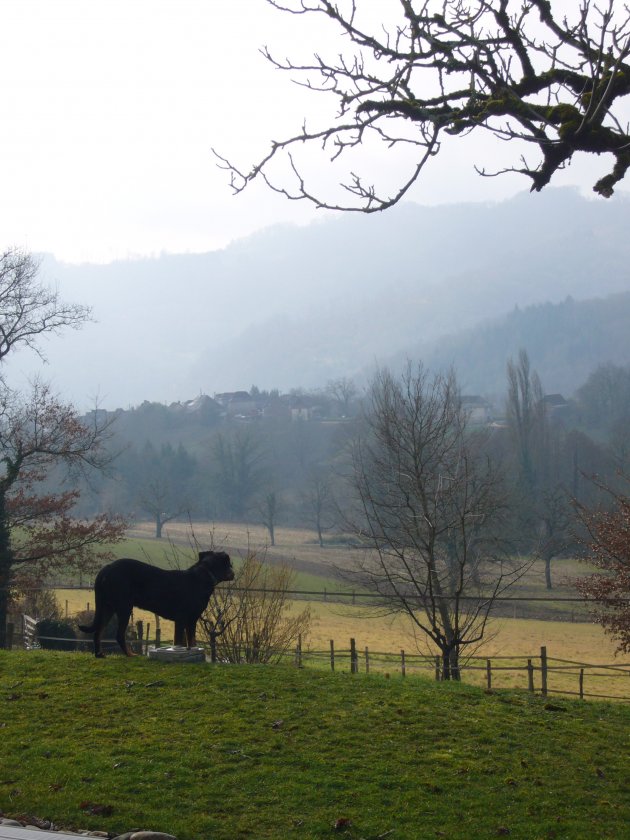 Stilleven in Auvergne