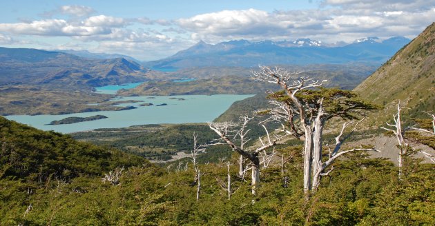 Torres del Paine