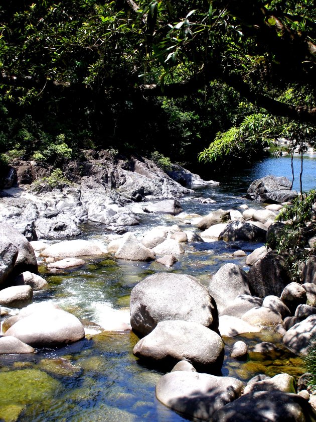 Daintree National Park