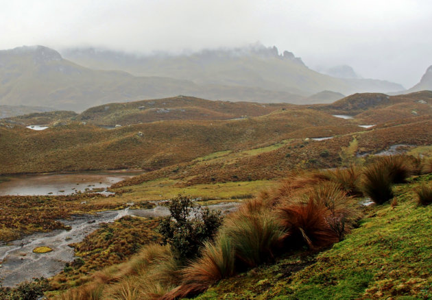 cajas