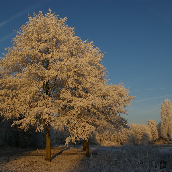 '160848' door Ngerbrands