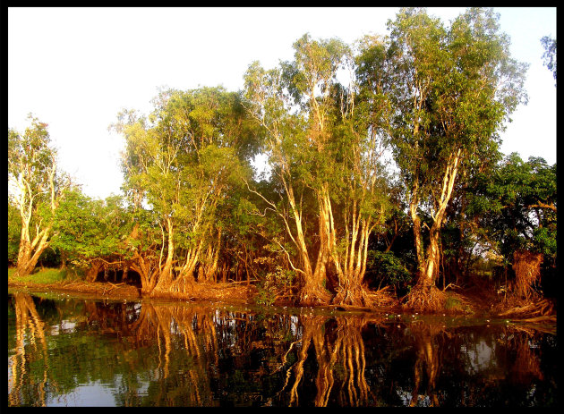 Yellow Waters