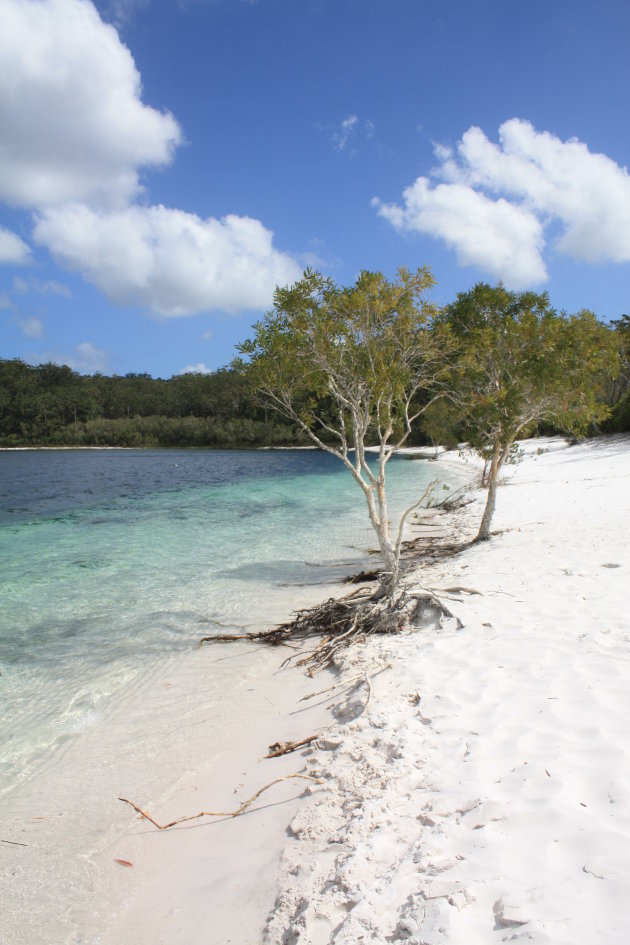 Lake Mckenzie