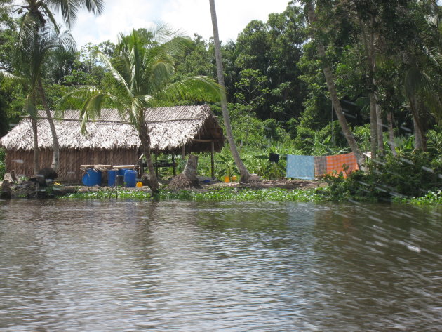 Orinoco delta